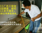 深圳杀虫公司,守护您的生活空间