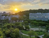 42岁林依晨二胎捷报背后的高龄生育暗号：明星妈妈的勇气与今世女性的窘境（月子中央VS月嫂：当“科学坐月子”成为一场消费主义斗争（从一间门店起家的行业巨头——亦蓁母婴集团的17载斗争之途）（【一盔一带】