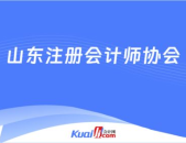 山东省注册会计师协会,山东省注册会计师协会发展历程与成就概览