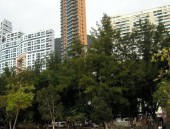 苹果16宣告会：iPhone16系列参数和价值曝光-开工大吉！因循传奇开启新年奇幻之旅福利派送阻挡错过，不保举买iPhonee：看完拔草了