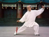 耍太极英文版,Harmony in Motion: Mastering Tai Chi's Graceful Art