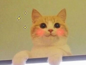 猫猫永不为奴娱乐吃瓜酱,揭秘娱乐圈幕后趣闻