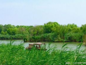 风景刚刚好,风景如画