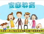 家庭教育,构建和谐亲子关系的基石与路径