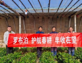 全力以赴保春耕,共筑丰收梦