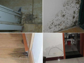 老房子翻新屋面刚性防水好吗视频讲解,老房子翻新屋面刚性防水施工要点解析